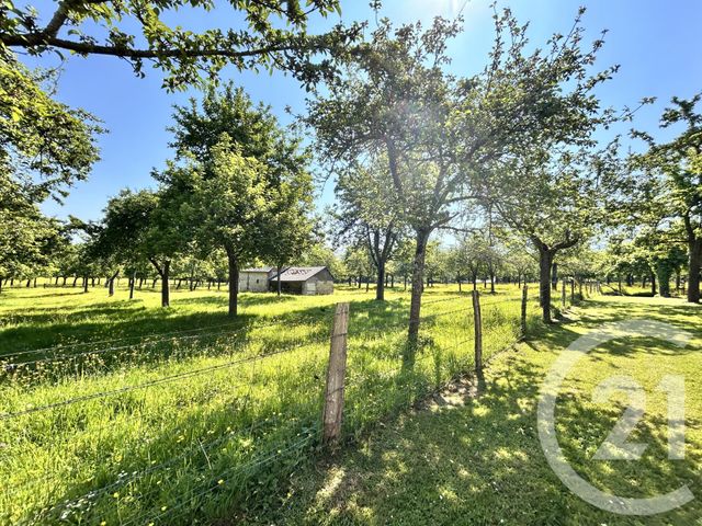 maison à vendre - 8 pièces - 200.0 m2 - LE MESNIL GUILLAUME - 14 - BASSE-NORMANDIE - Century 21 Harmony