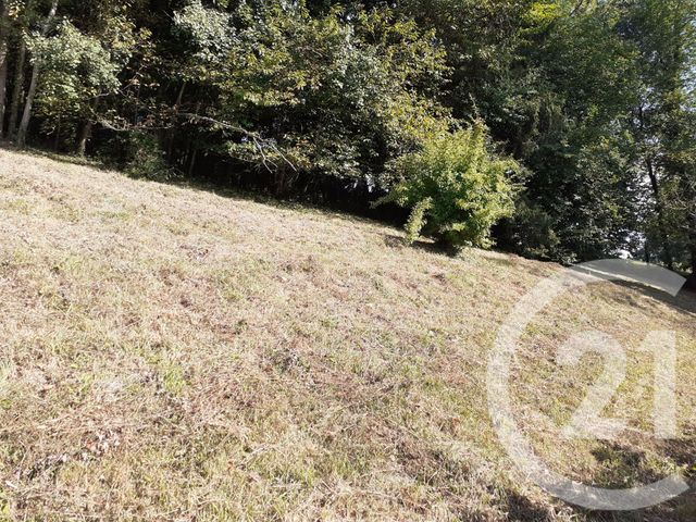 maison à vendre - 5 pièces - 94.43 m2 - PONT L EVEQUE - 14 - BASSE-NORMANDIE - Century 21 Harmony