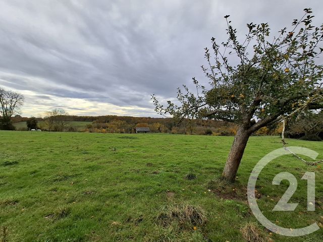 maison à vendre - 4 pièces - 56.0 m2 - MAROLLES - 14 - BASSE-NORMANDIE - Century 21 Harmony