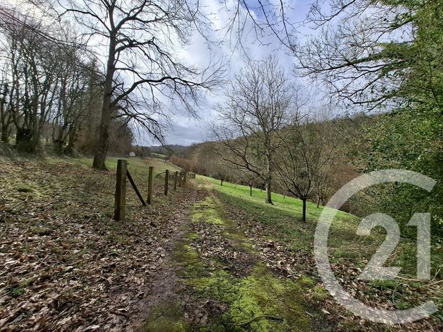 maison à vendre - 7 pièces - 180.0 m2 - ST MARTIN BIENFAITE CRESSONNIERE - 14 - BASSE-NORMANDIE - Century 21 Harmony