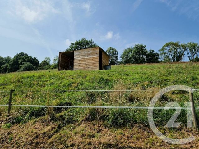 maison à vendre - 6 pièces - 115.0 m2 - ST MARTIN DE LA LIEUE - 14 - BASSE-NORMANDIE - Century 21 Harmony